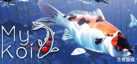 我的锦鲤/My Koi-方舟游戏网