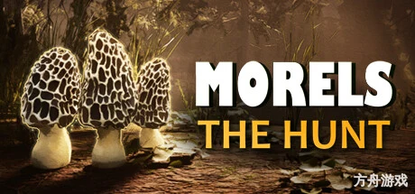 羊肚菌：狩猎/Morels: The Hunt