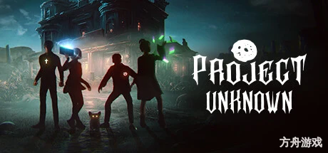 未知项目/Project Unknown/支持网络联机