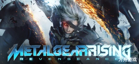 合金装备崛起:复仇/METAL GEAR RISING: REVENGEANCE-方舟游戏网