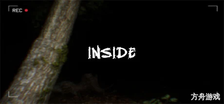 囚禁/INSIDE/支持网络联机-方舟游戏网