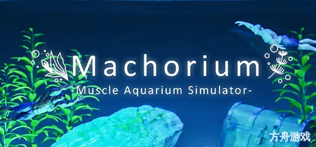 壮士水族馆 -肌肉水族馆模拟器-/Machorium -Muscle Aquarium Simulator-方舟游戏网