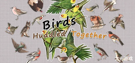 挤在一起的鸟鸟/Birds Huddled Together-方舟游戏网