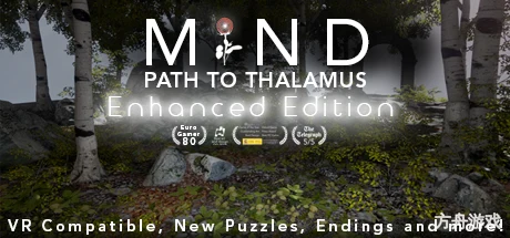 心智：视丘之径/MIND: Path to Thalamus Enhanced Edition