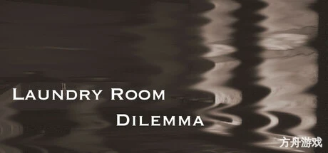 洗衣房困境/Laundry Room Dilemma-方舟游戏网