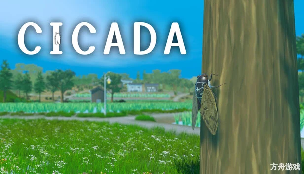 蝉之生存/CICADA