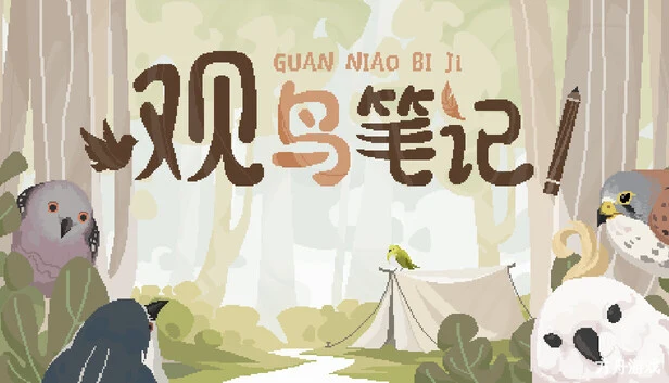 观鸟笔记/Birdwatching Notebook
