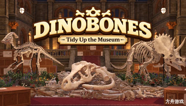 恐龙骨骼:整理博物馆/DinoBones: Tidy Up the Museum